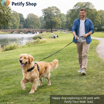 Petify™ Flexi-Walk: Automatic Retractable Dog Leash