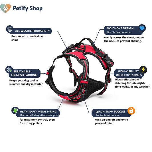 Petify™ Elite Adventure Harness Set